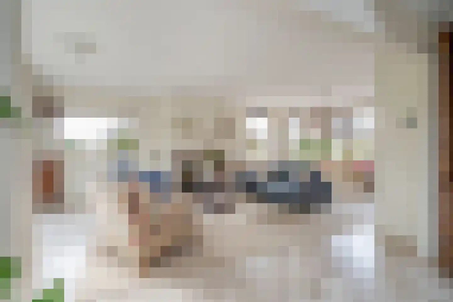 Behrenslijn 19 Zoetermeer thumbnail 9