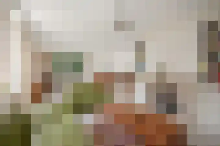 Behrenslijn 7 Zoetermeer thumbnail 12