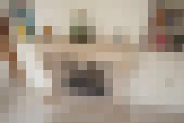 Behrenslijn 7 Zoetermeer thumbnail 13