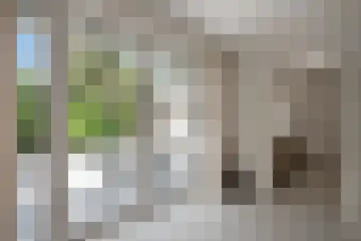 Behrenslijn 7 Zoetermeer thumbnail 16