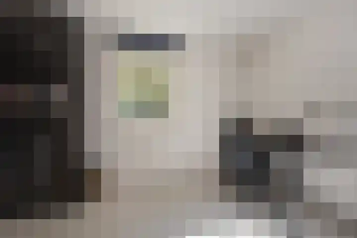 Behrenslijn 7 Zoetermeer thumbnail 21