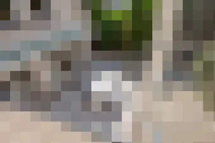 Behrenslijn 7 Zoetermeer thumbnail 26