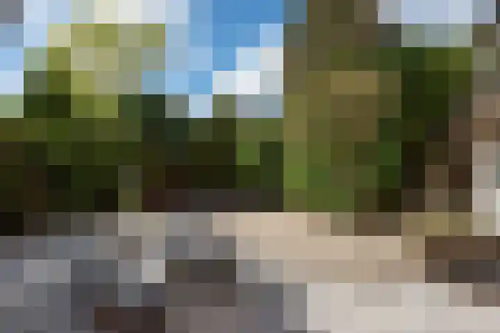 Behrenslijn 7 Zoetermeer thumbnail 33
