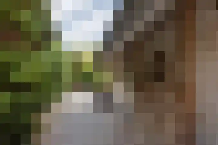 Behrenslijn 7 Zoetermeer thumbnail 37
