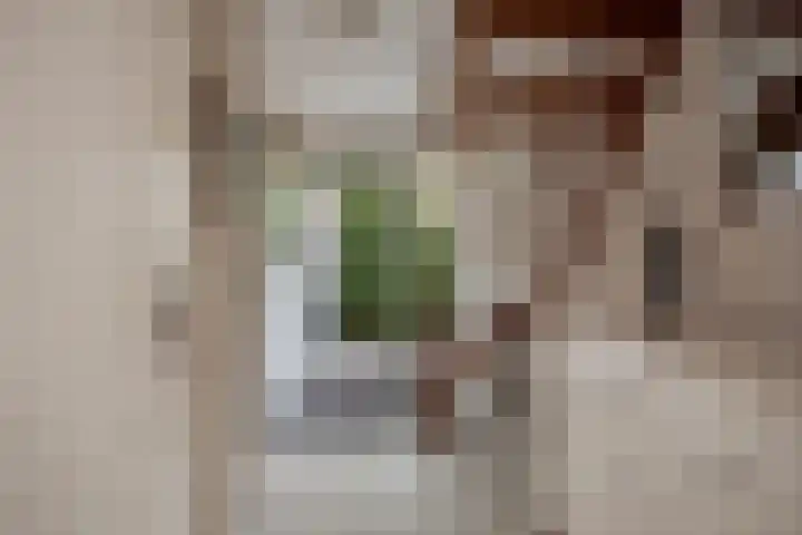 Behrenslijn 7 Zoetermeer thumbnail 40