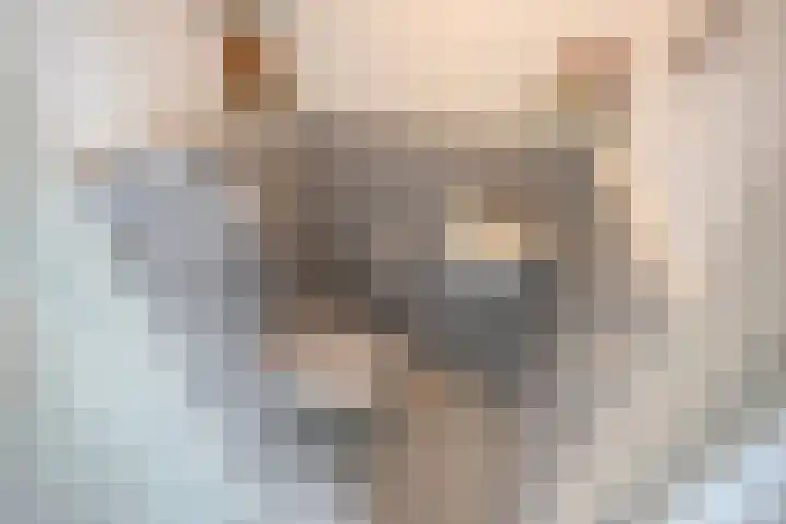 Behrenslijn 7 Zoetermeer thumbnail 41