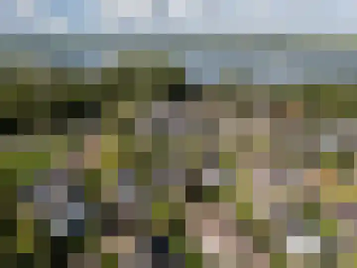 Behrenslijn 7 Zoetermeer thumbnail 5