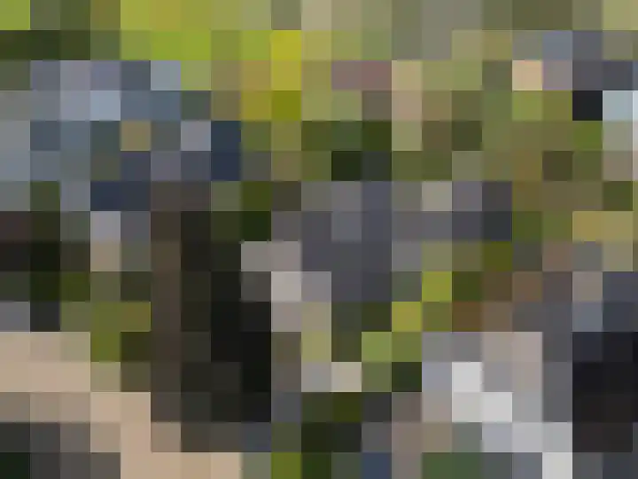 Behrenslijn 7 Zoetermeer thumbnail 54