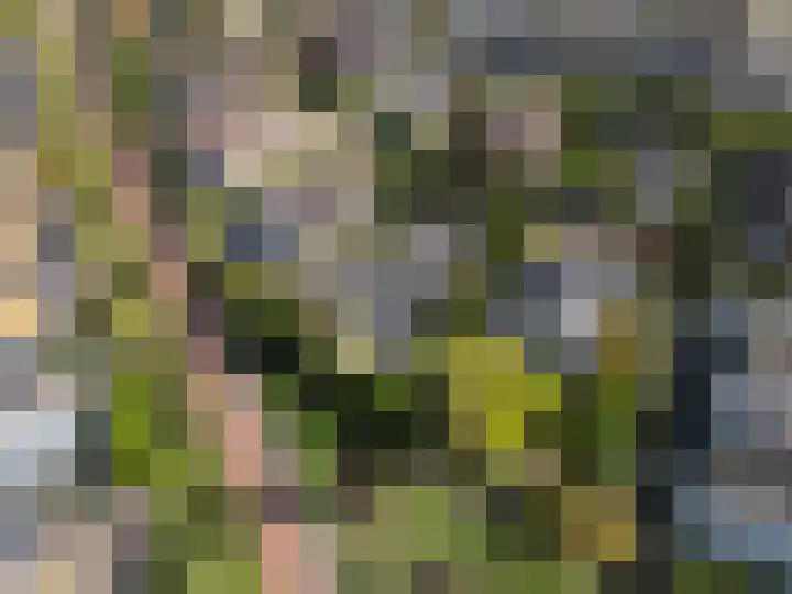 Behrenslijn 7 Zoetermeer thumbnail 55