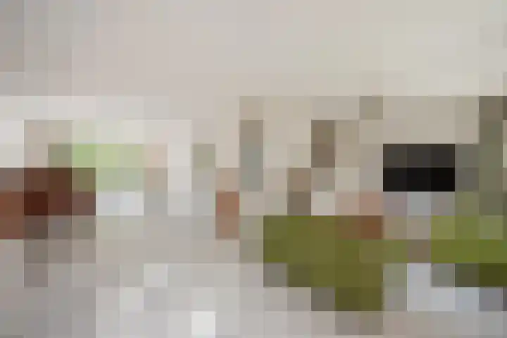 Behrenslijn 7 Zoetermeer thumbnail 9