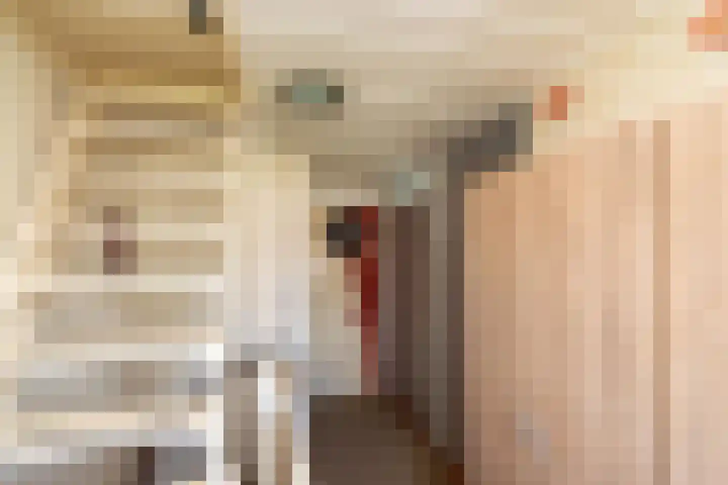 Behringhof 37 Hoogeveen thumbnail 32