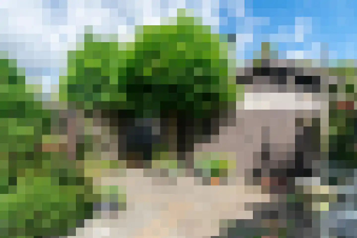 Behringhof 37 Hoogeveen thumbnail 36