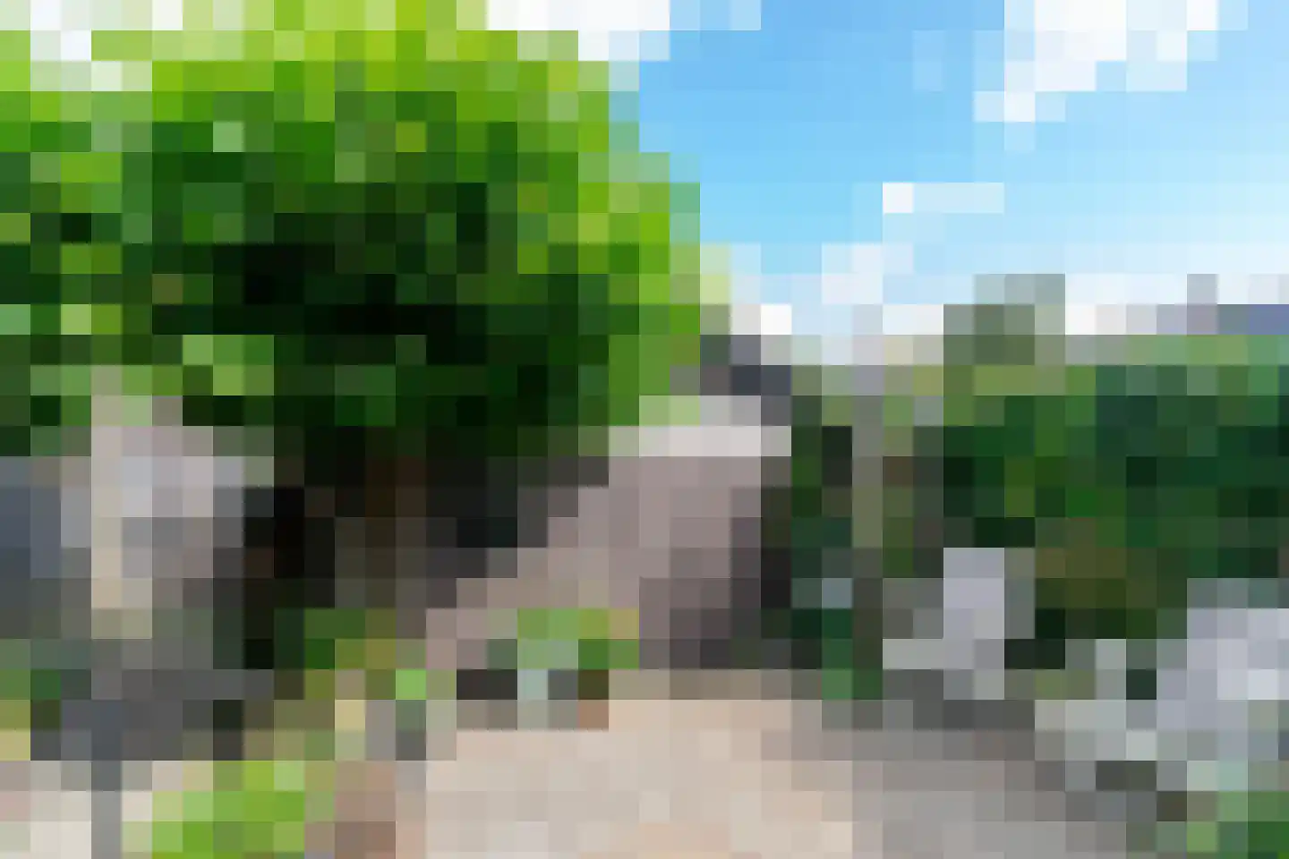 Behringhof 37 Hoogeveen thumbnail 6