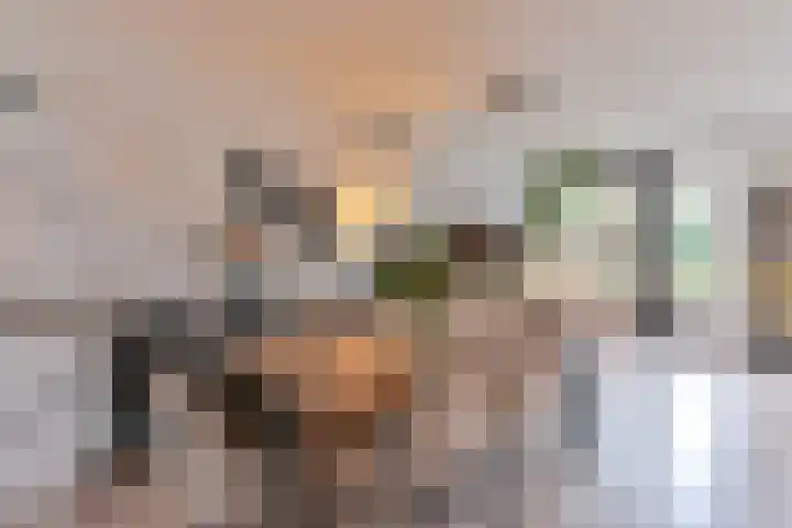 Behringhof 39 Hoogeveen thumbnail 17