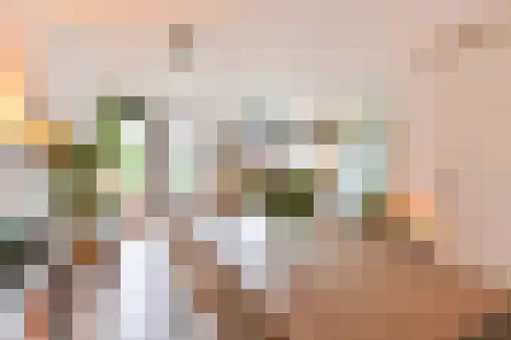 Behringhof 39 Hoogeveen thumbnail 19