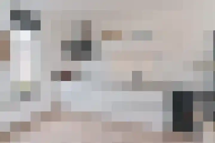 Behringhof 39 Hoogeveen thumbnail 21