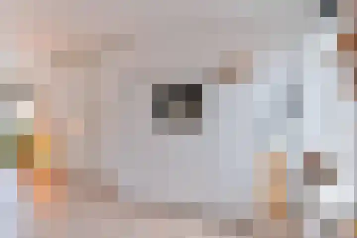 Behringhof 39 Hoogeveen thumbnail 24