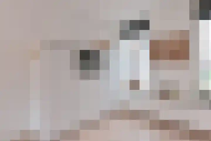 Behringhof 39 Hoogeveen thumbnail 25