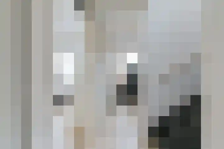 Behringhof 39 Hoogeveen thumbnail 27