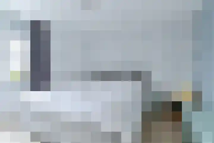 Behringhof 39 Hoogeveen thumbnail 29