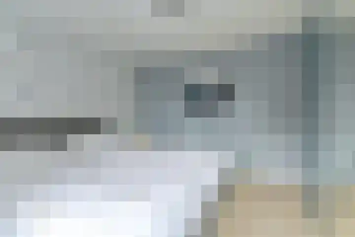 Behringhof 39 Hoogeveen thumbnail 31