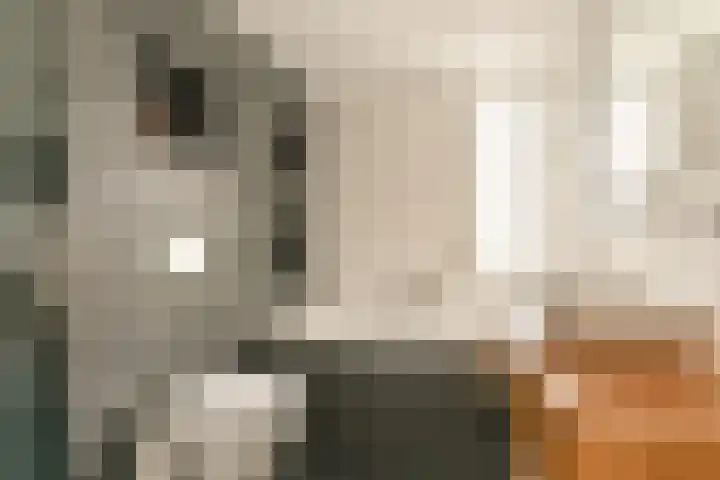 Behringhof 39 Hoogeveen thumbnail 34