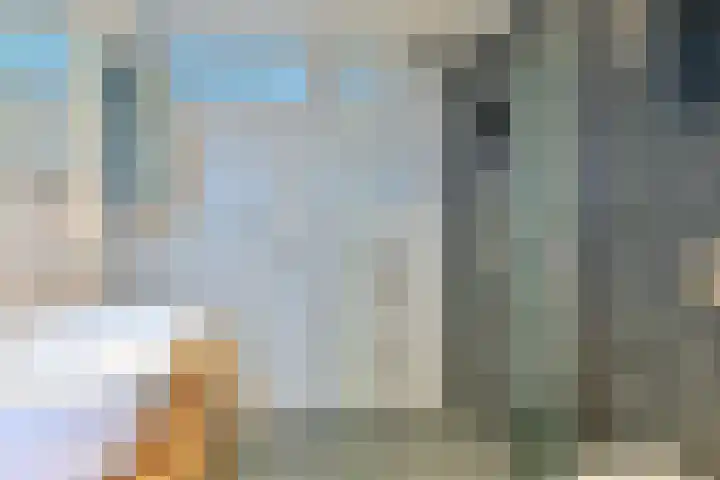 Behringhof 39 Hoogeveen thumbnail 35