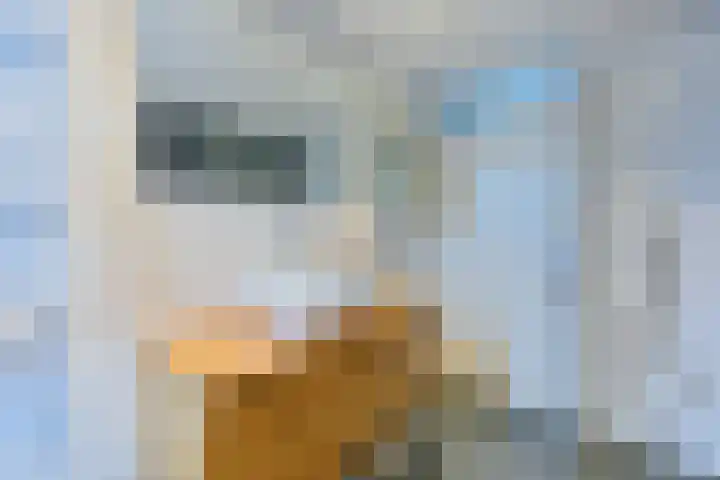 Behringhof 39 Hoogeveen thumbnail 36