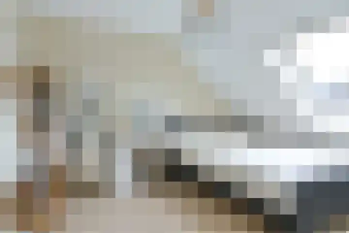 Behringhof 39 Hoogeveen thumbnail 37