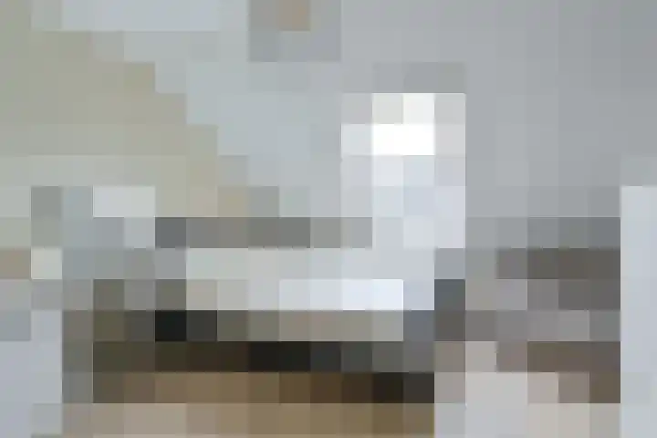 Behringhof 39 Hoogeveen thumbnail 38
