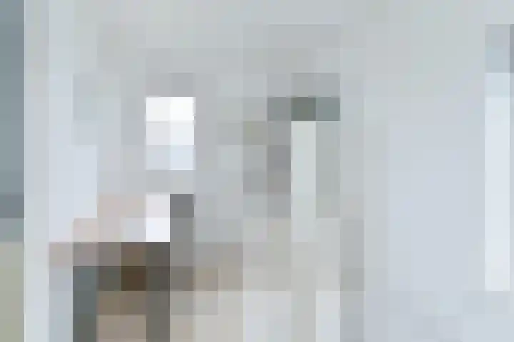 Behringhof 39 Hoogeveen thumbnail 44