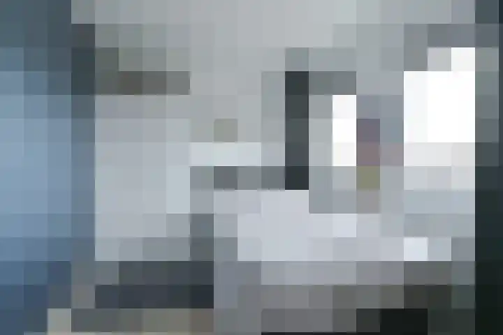 Behringhof 39 Hoogeveen thumbnail 46