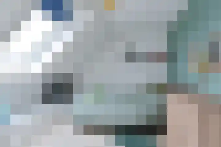 Behringhof 39 Hoogeveen thumbnail 49