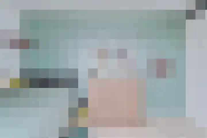 Behringhof 39 Hoogeveen thumbnail 51