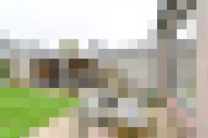 Behringhof 39 Hoogeveen thumbnail 53