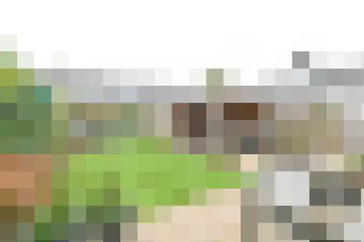 Behringhof 39 Hoogeveen thumbnail 54