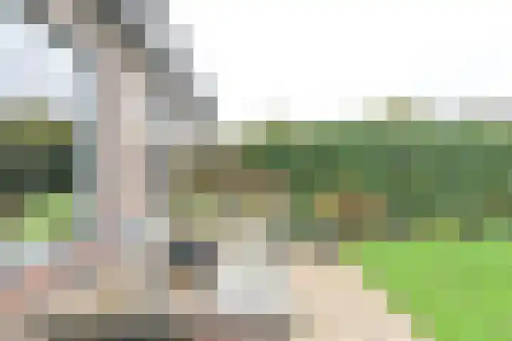 Behringhof 39 Hoogeveen thumbnail 55