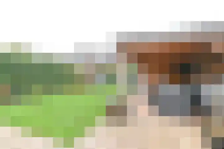 Behringhof 39 Hoogeveen thumbnail 56