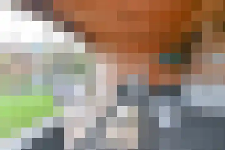 Behringhof 39 Hoogeveen thumbnail 57