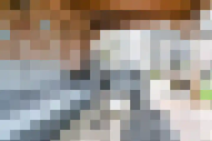 Behringhof 39 Hoogeveen thumbnail 58