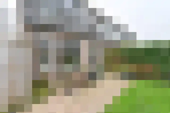 Behringhof 39 Hoogeveen thumbnail 60