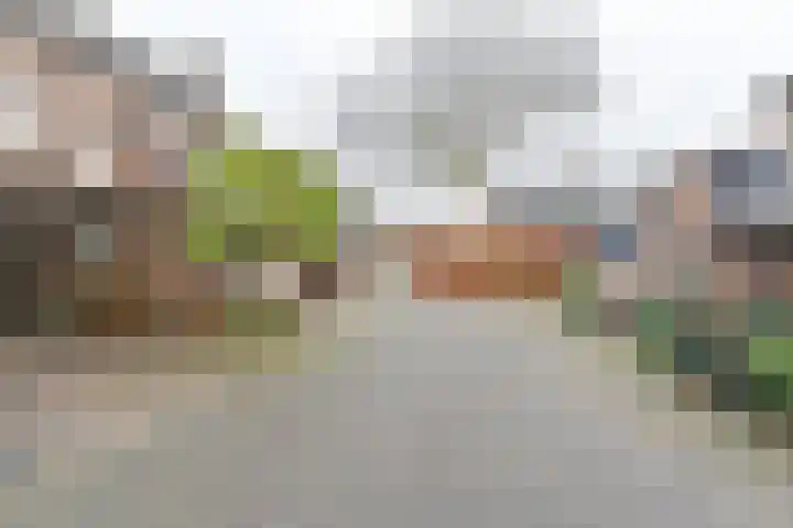 Behringhof 39 Hoogeveen thumbnail 62