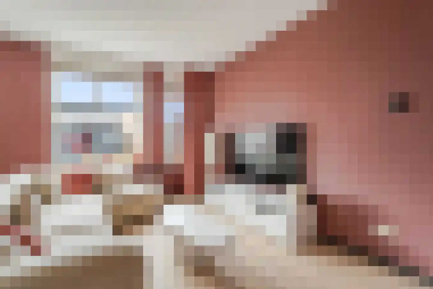 Behringhof 41 Hoogeveen thumbnail 17