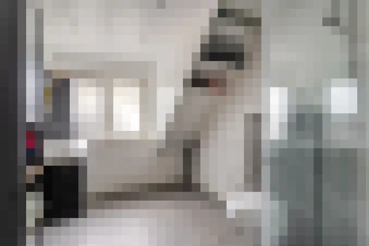 Behringhof 41 Hoogeveen thumbnail 28