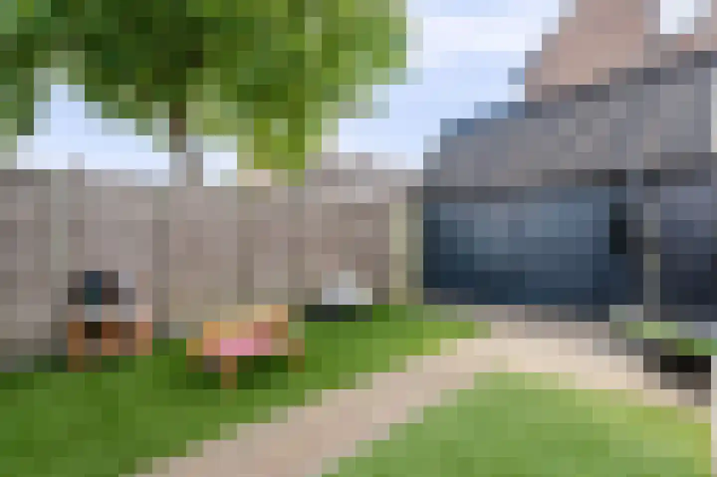 Behringhof 41 Hoogeveen thumbnail 34