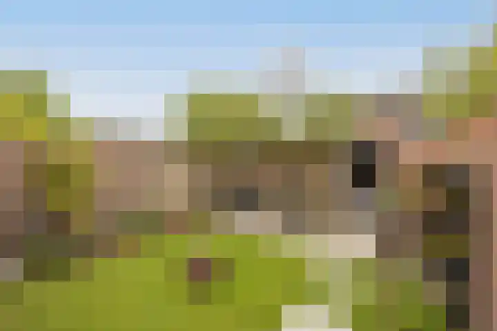 Beiaard 137 Etten-Leur thumbnail 34