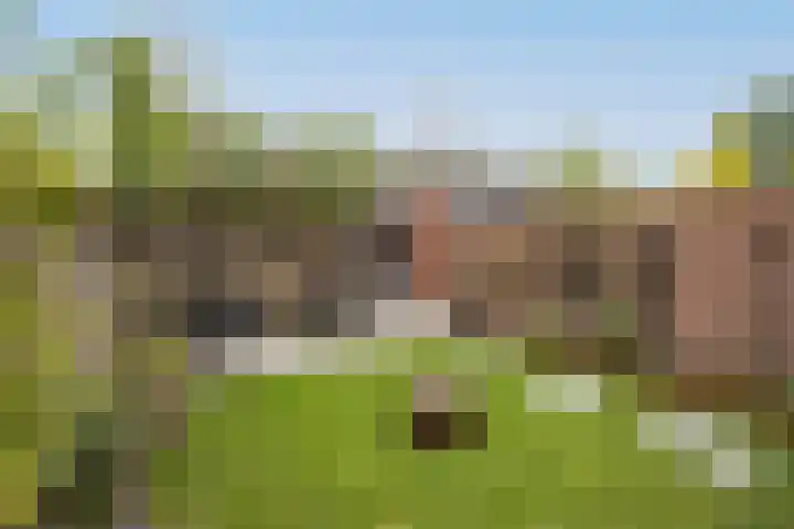 Beiaard 137 Etten-Leur thumbnail 35