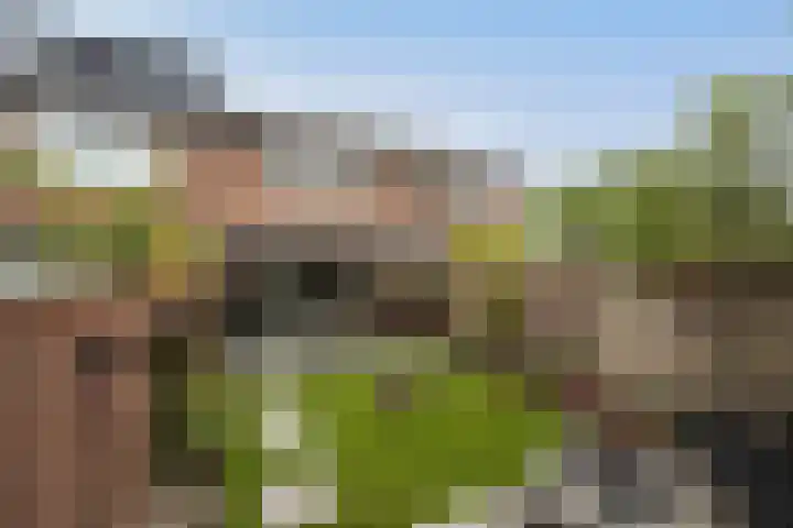 Beiaard 137 Etten-Leur thumbnail 36