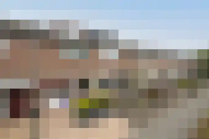 Beiaard 137 Etten-Leur thumbnail 5