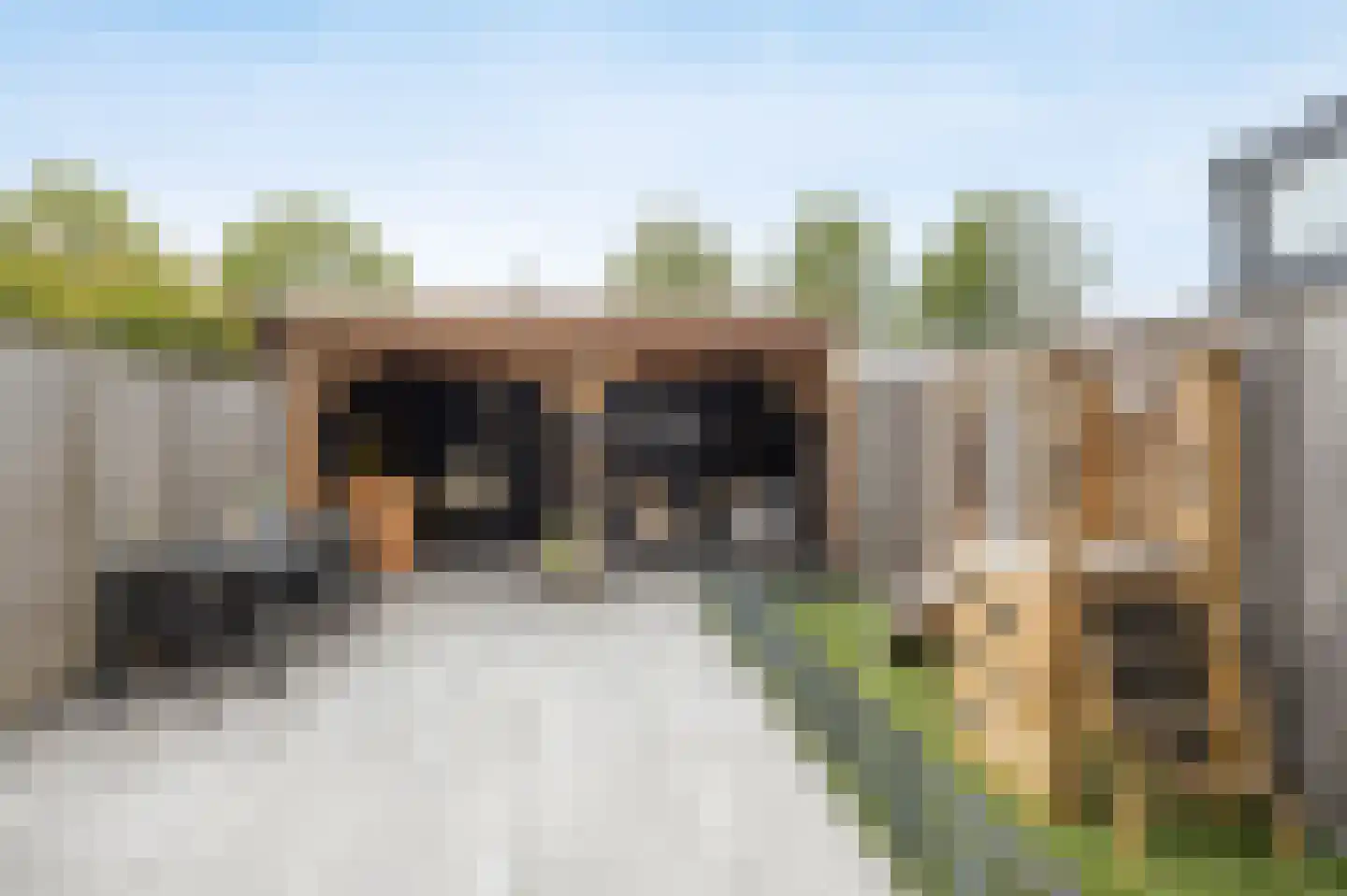 Beiaard 150 Etten-Leur thumbnail 37
